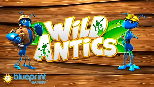 Wild Antics