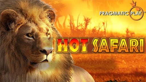 Hot Safari