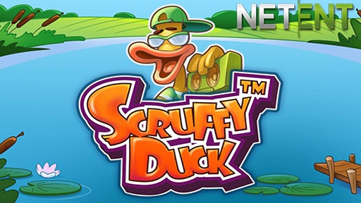 Scruffy Duck