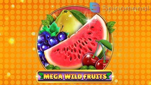 Casino Slots Mega Wild Fruits