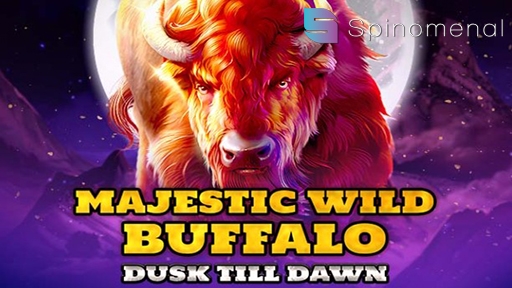 Majestic Wild Buffalo Dusk Till Dawn
