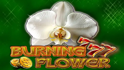 Play online Casino Burning Flower